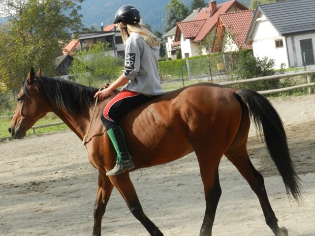 Babie Lato 2016